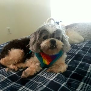 Meet your Posher, Wendy